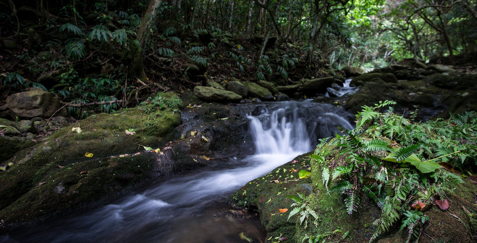 Iao Valley Stream